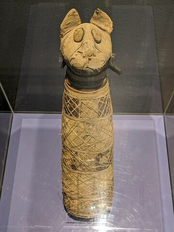 momie de chat, image 4/10