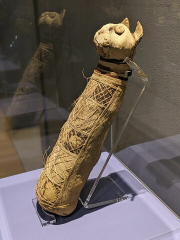 momie de chat, image 5/10