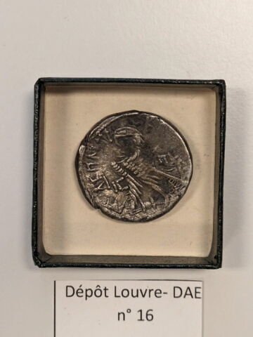 tétradrachme alexandrin, image 2/2