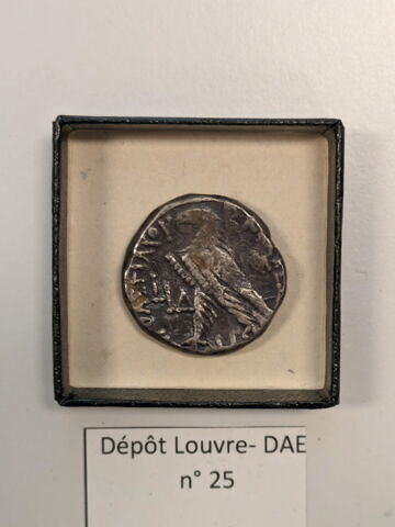 tétradrachme alexandrin, image 2/2