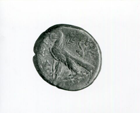 tétradrachme alexandrin, image 3/3