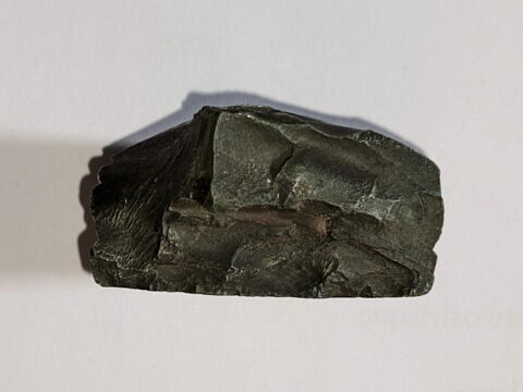 scarabée de cœur, image 4/4