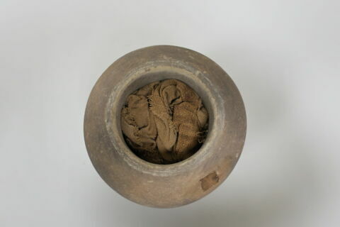 vase canope ; élément momifié, image 4/7