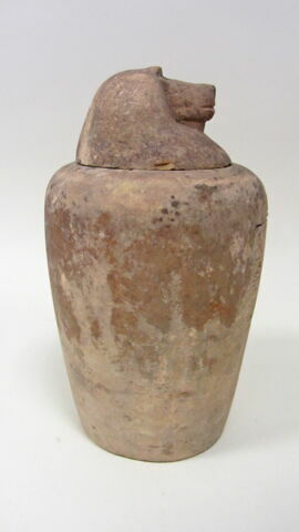 vase canope ; élément momifié, image 4/6
