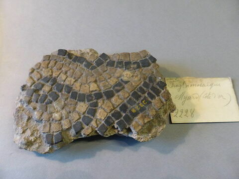 mosaïque ; fragment