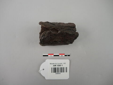 arme ; tige ; fragment