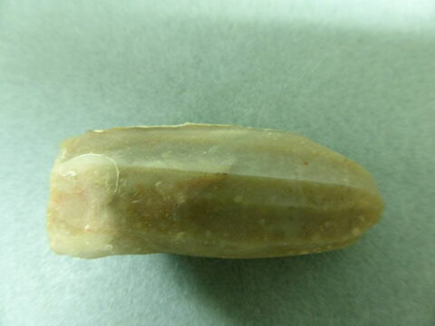 nucleus