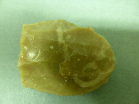 nucleus