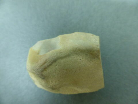 nucleus