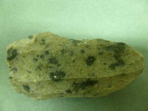 nucleus