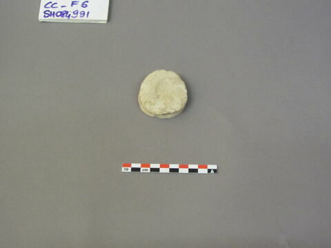 rondelle, image 3/5
