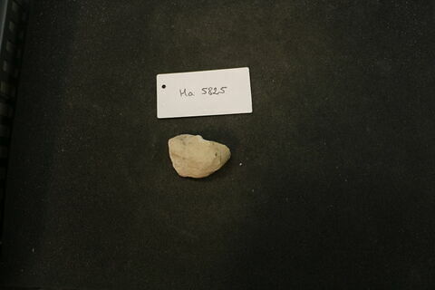 fragment