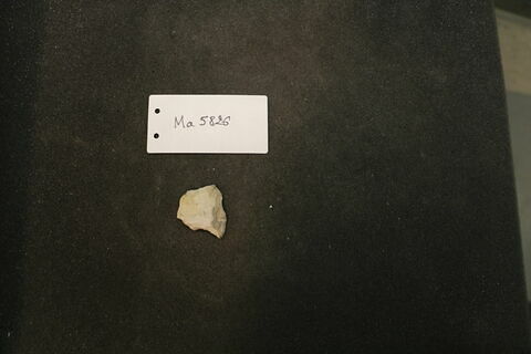 fragment
