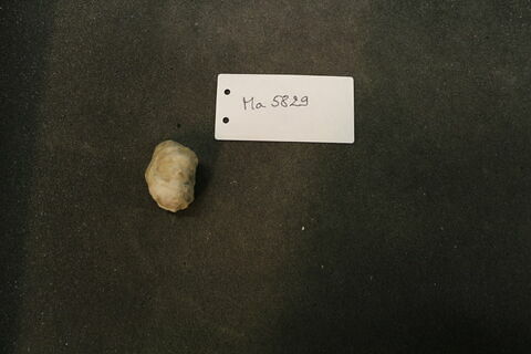 fragment