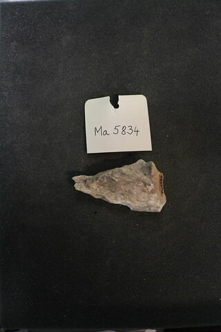 fragment