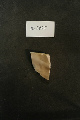 fragment