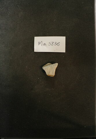 fragment