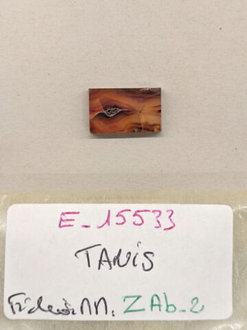 plaquette de dépôt de fondation, image 2/2