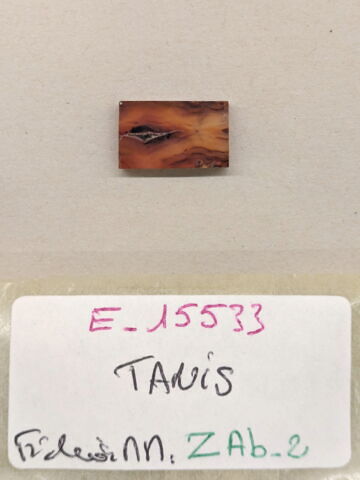 plaquette de dépôt de fondation