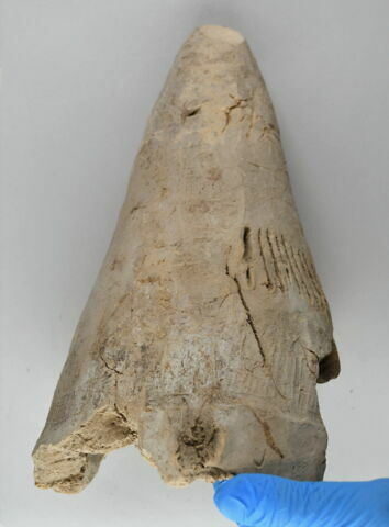 bouchon de jarre conique ; empreinte de sceau, image 5/5