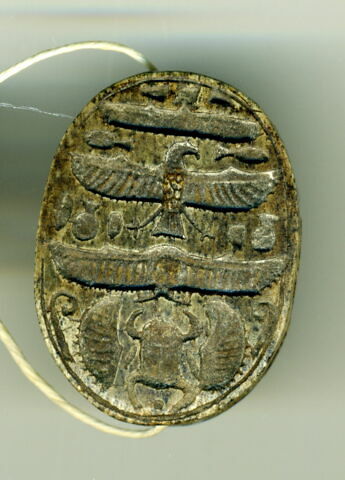 scarabée détaillé, image 2/3
