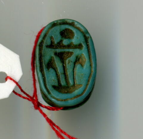 scarabée détaillé, image 5/5