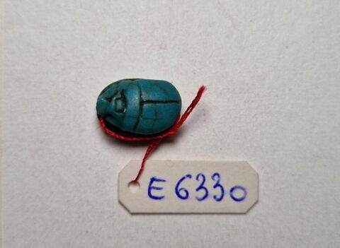 scarabée détaillé, image 2/5