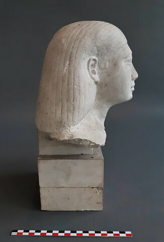 Moulage de la tête E 11068, image 3/5