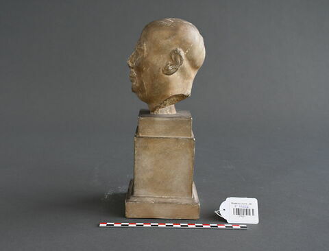 Moulage de la tête de vieillard Louvre E 8060, image 4/4