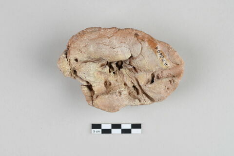 bouchon de jarre, image 3/6