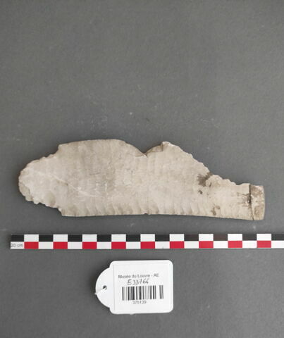 Moulage d'une lame de couteau prédynastique