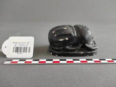 moulage ; scarabée, image 3/3