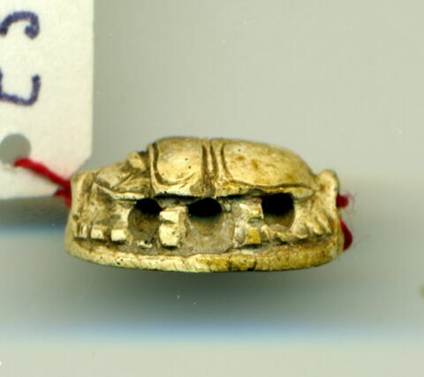 scarabée détaillé, image 3/3