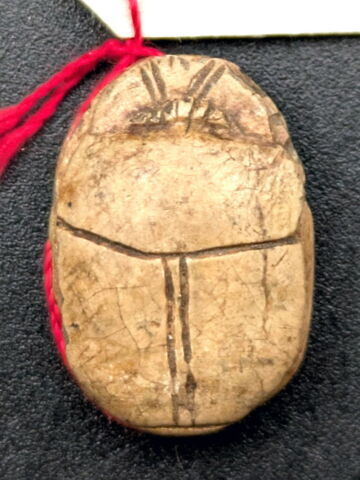 scarabée détaillé, image 2/2