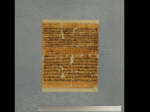 papyrus funéraire, image 2/3