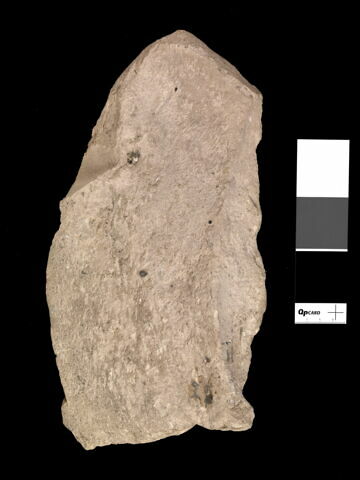 ostracon, image 2/2