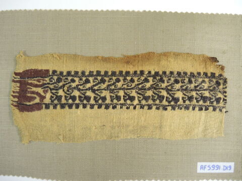 clavus ; fragment, image 2/2