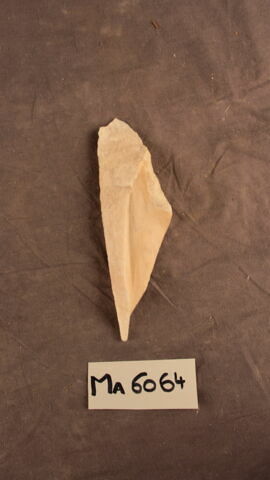 fragment, image 2/2