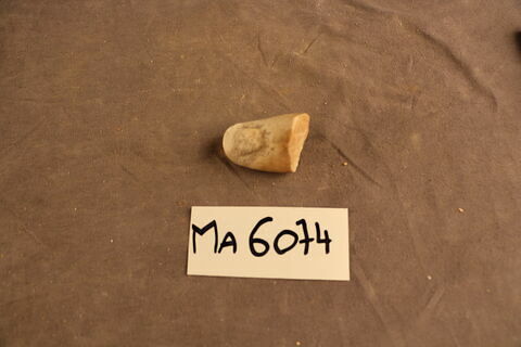 fragment