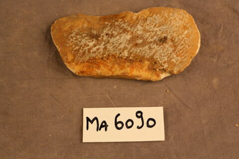 fragment, image 3/3
