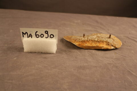fragment