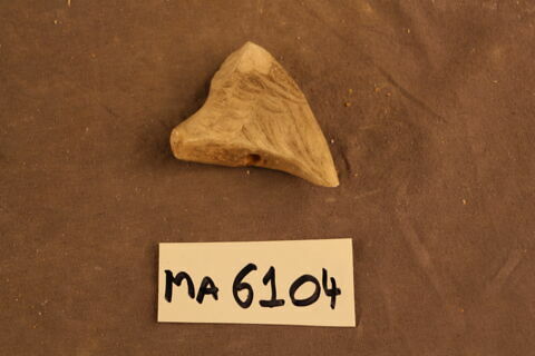 fragment