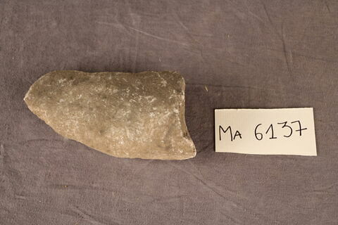 fragment