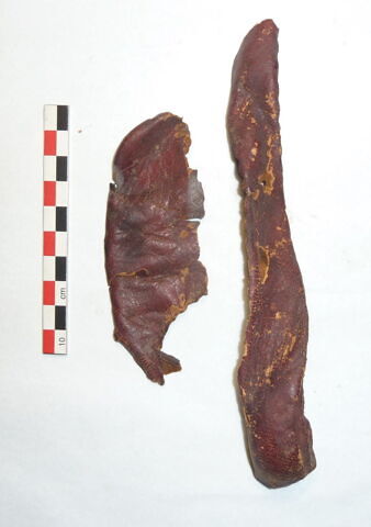 chaussure ; fragments