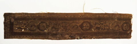 clavus ; fragment, image 2/2