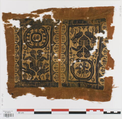bande de poignet ; fragment