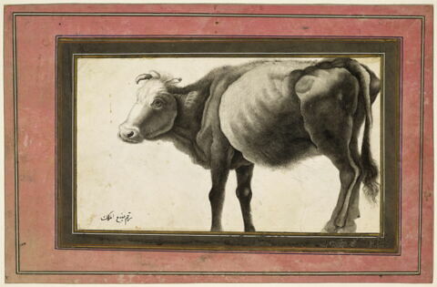 Vache (page d'album)