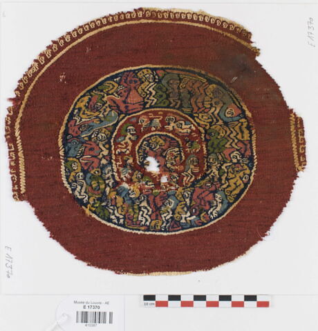 orbiculus ; fragment