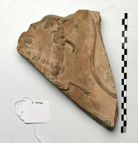 plaque Campana