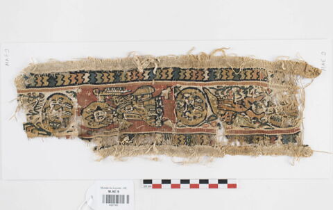 clavus ; fragment